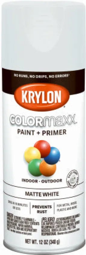 12 OZ WHT Matte Paint