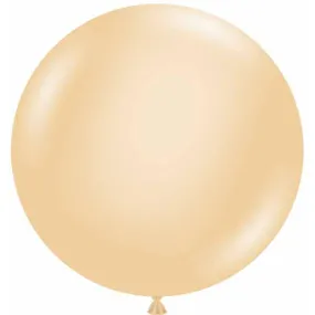 24" Blush Latex Balloons (25/Pk)