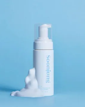 Etude SoonJung pH 6.5 Whip Cleanser
