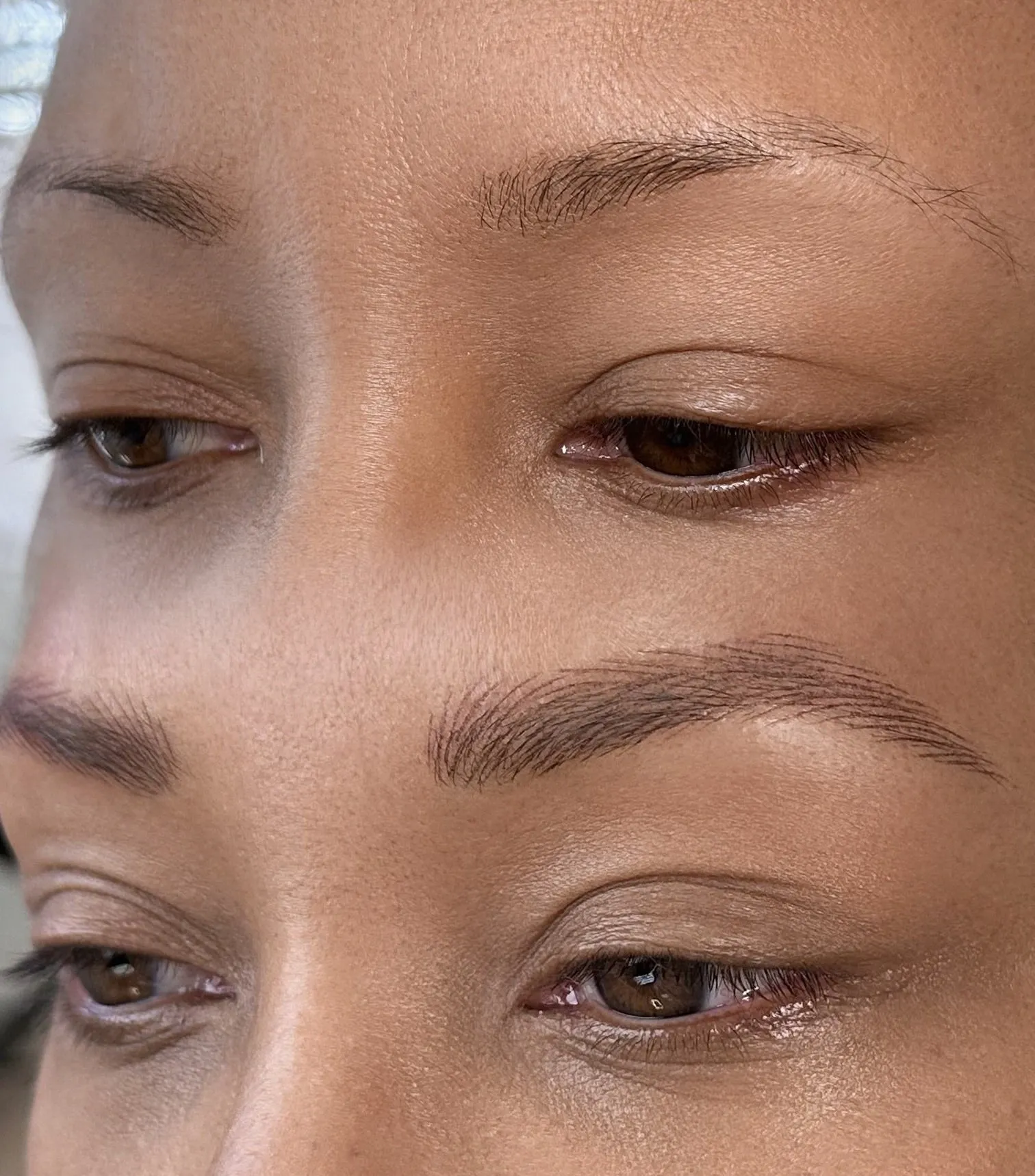 Fluffy Strokes Advanced Online PMU Eyebrows Course