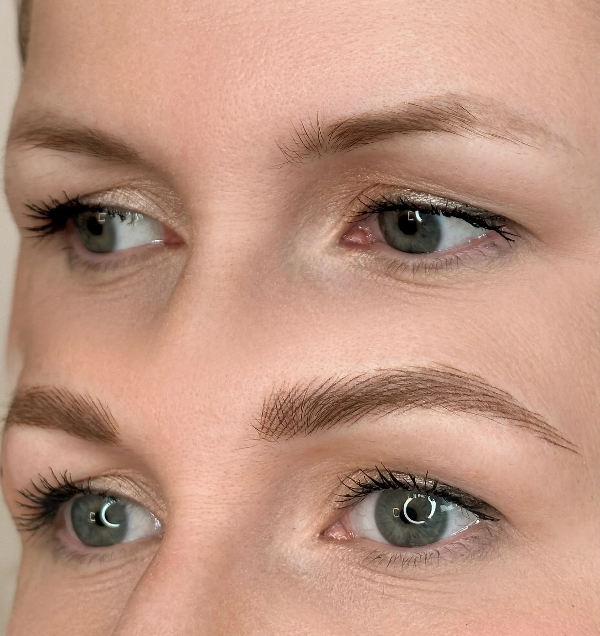 Fluffy Strokes Advanced Online PMU Eyebrows Course