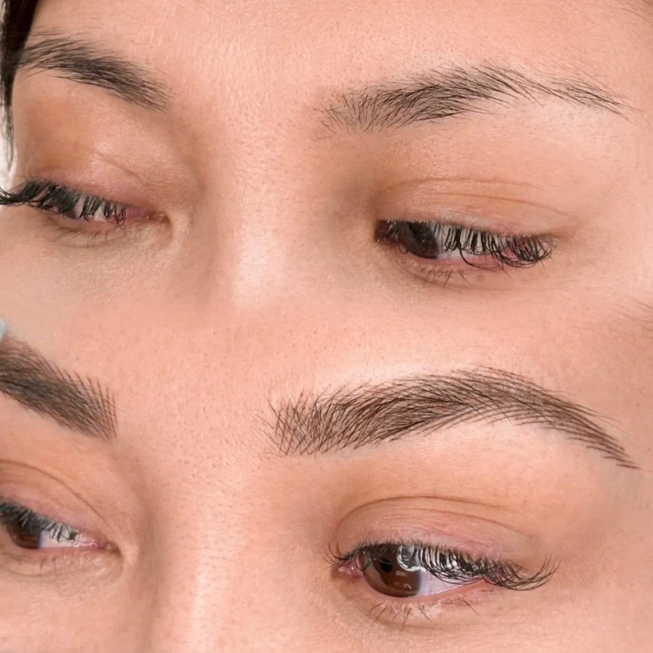 Fluffy Strokes Advanced Online PMU Eyebrows Course