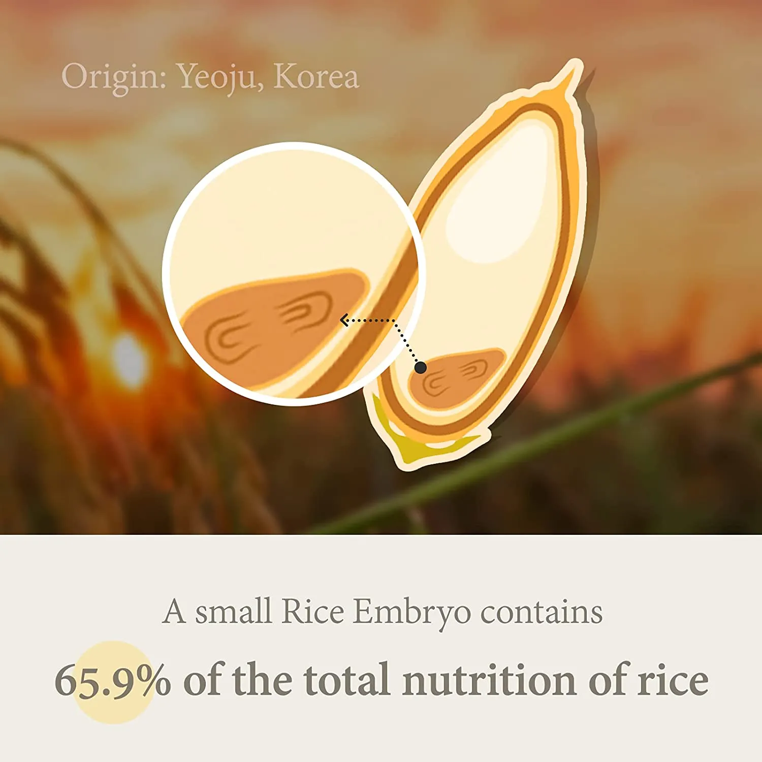 I'm From Rice Serum 30ml